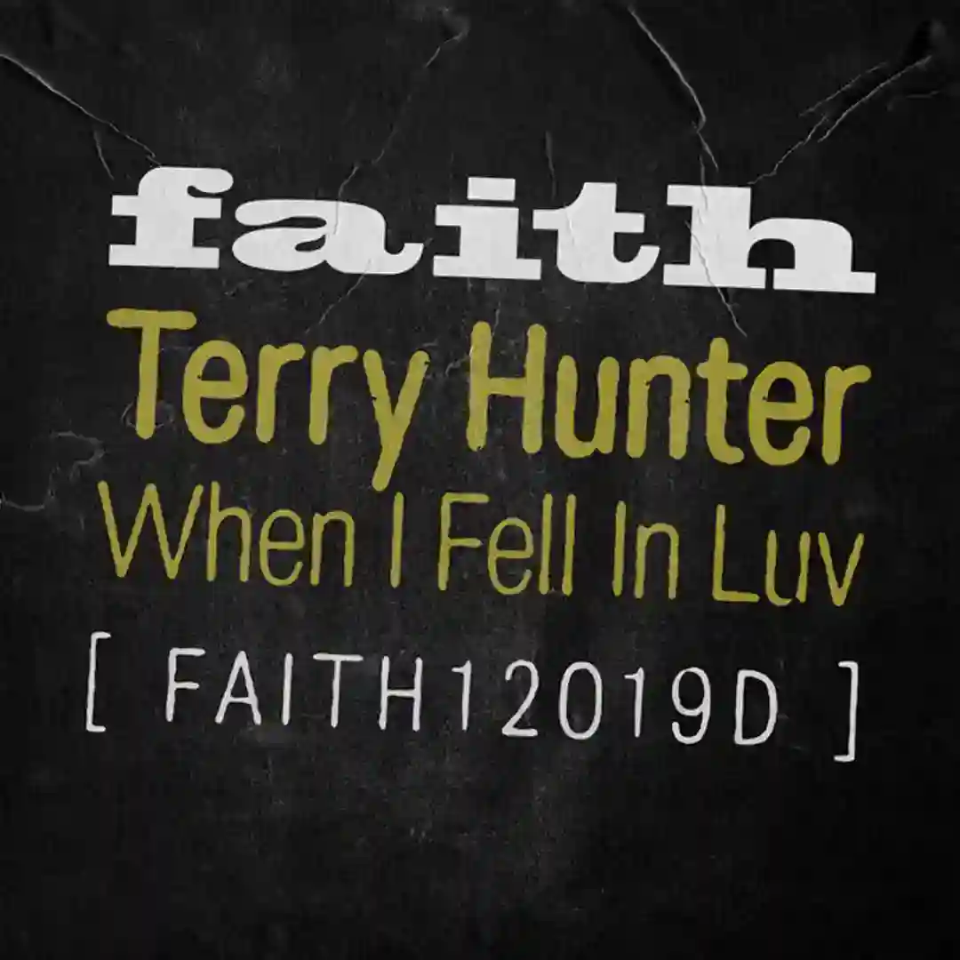 When I Fell In Luv (Gerd Janson Extended Remix) cover