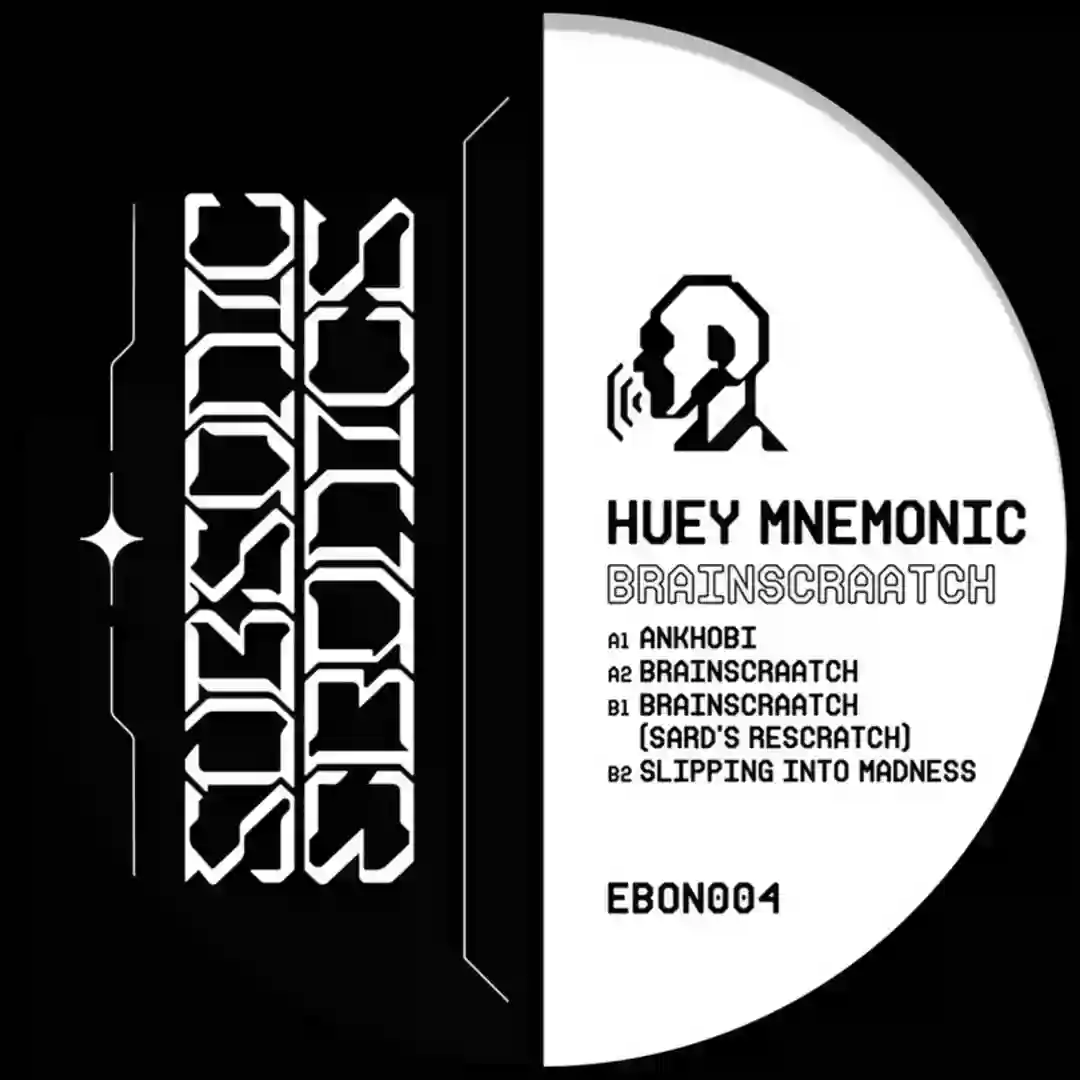 Slipping Into Madness (Original Mix) cover