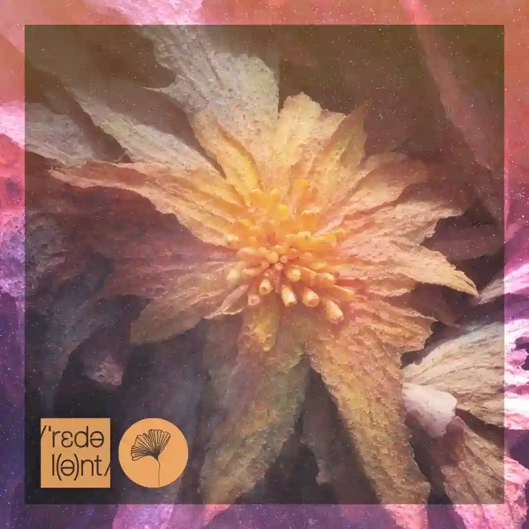 Kenya cover