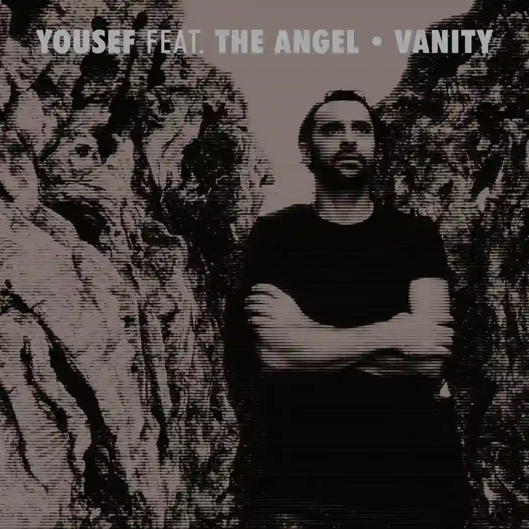 Vanity cover