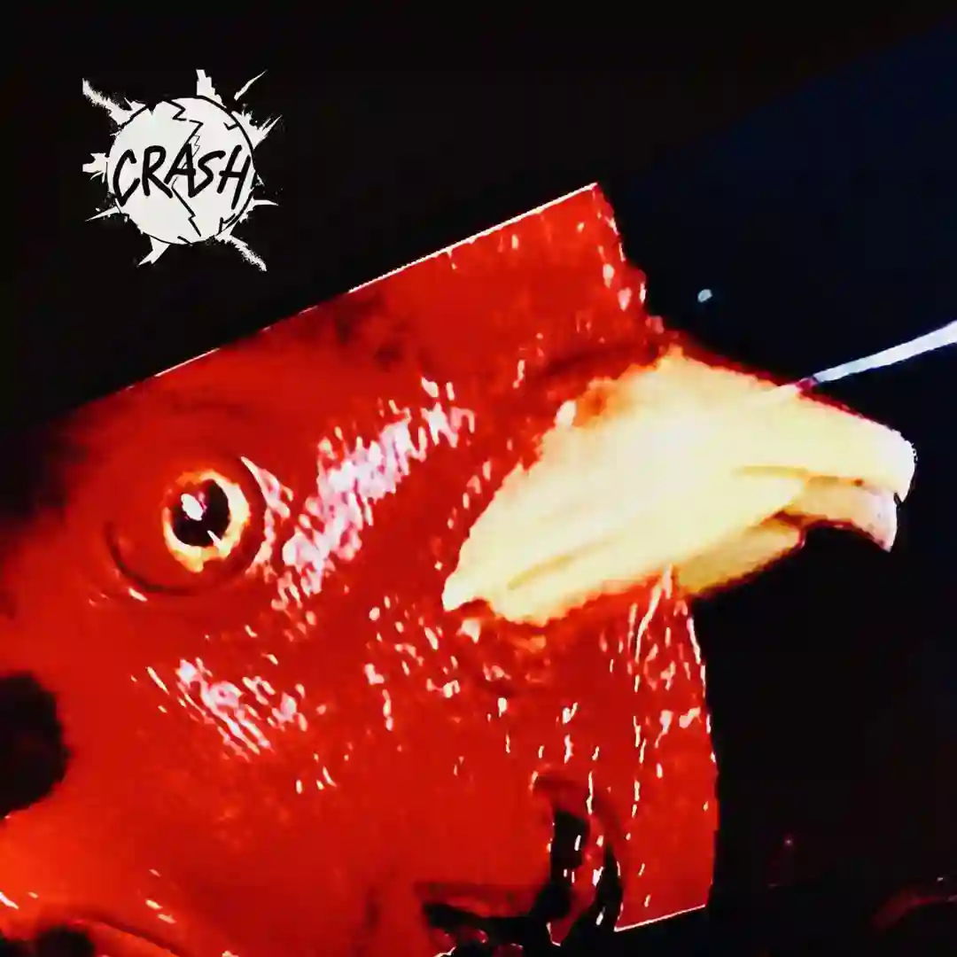 Wallies (Red Eye's Fightapella) cover