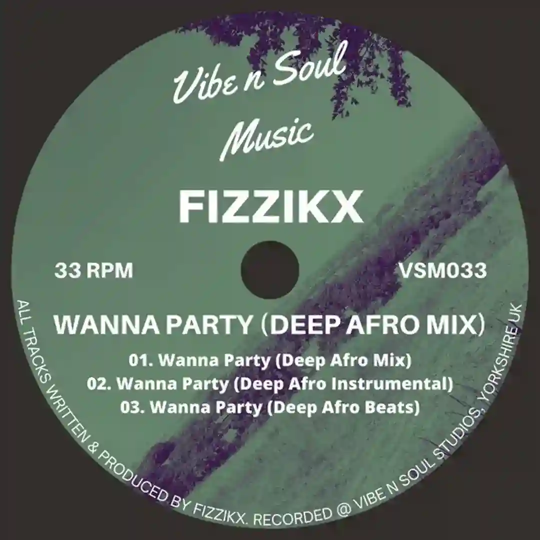 Wanna Party (Deep Afro Mix) cover