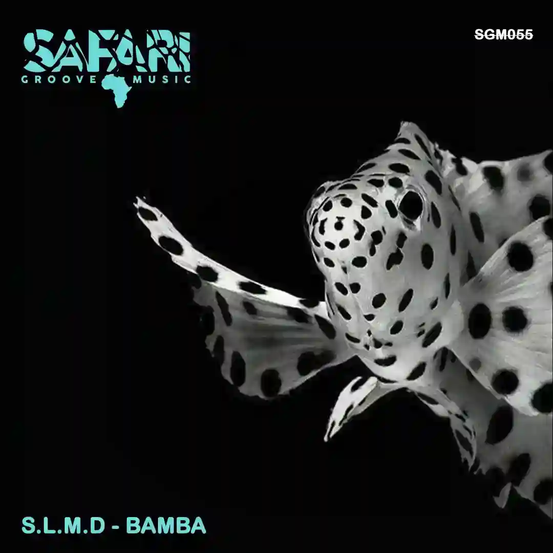Bamba (Original Mix) cover