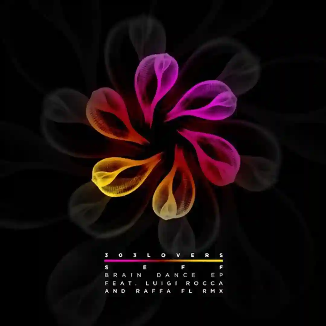 Braindance (Raffa FL Remix) cover