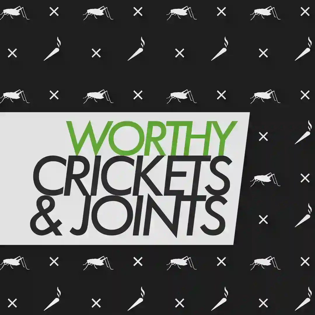 The Joint cover