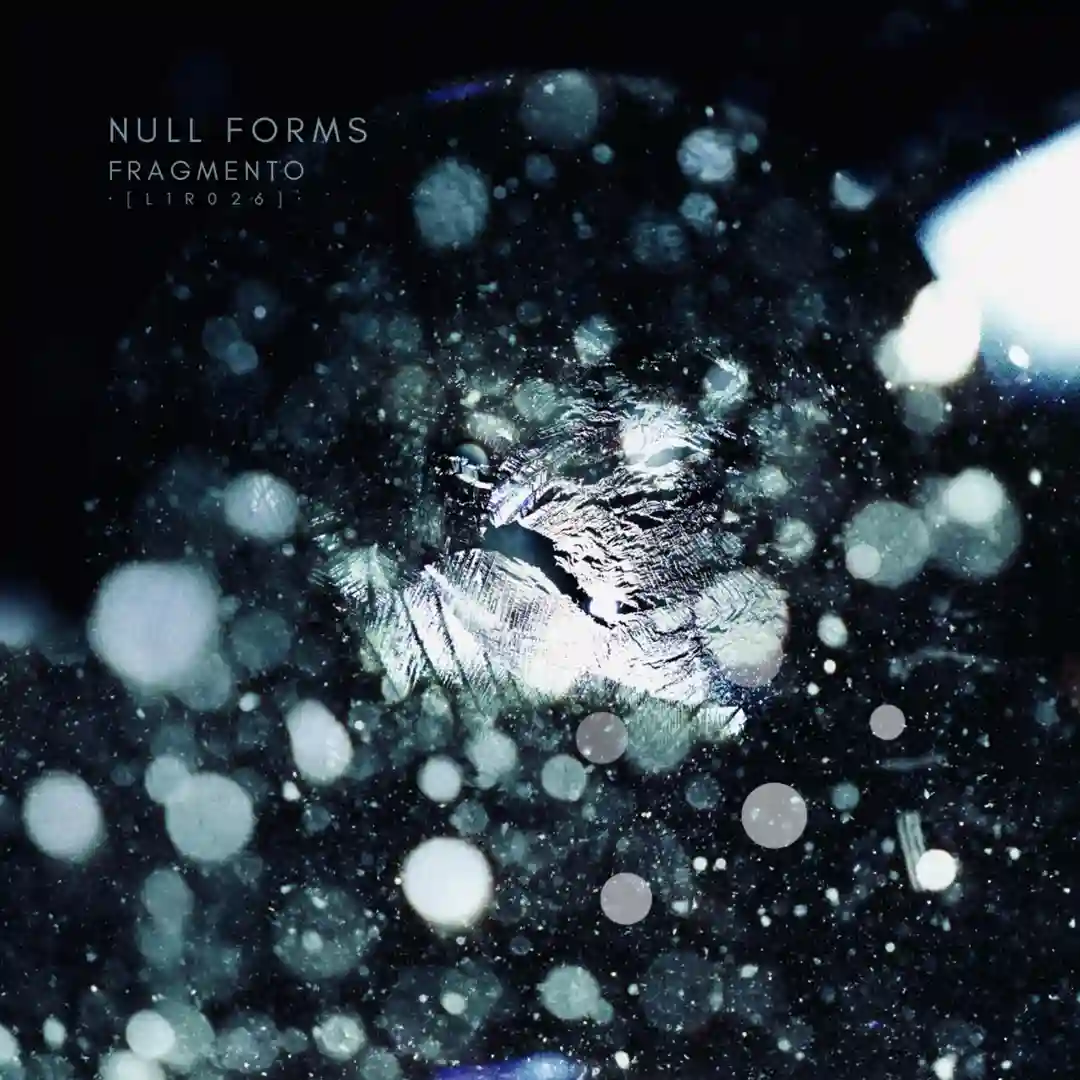Dark Forest (Original Mix) cover