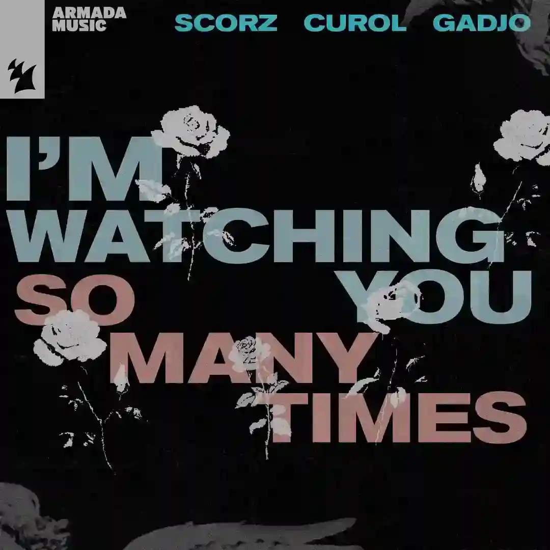 I'm Watching You (So Many Times) (Extended Mix) cover