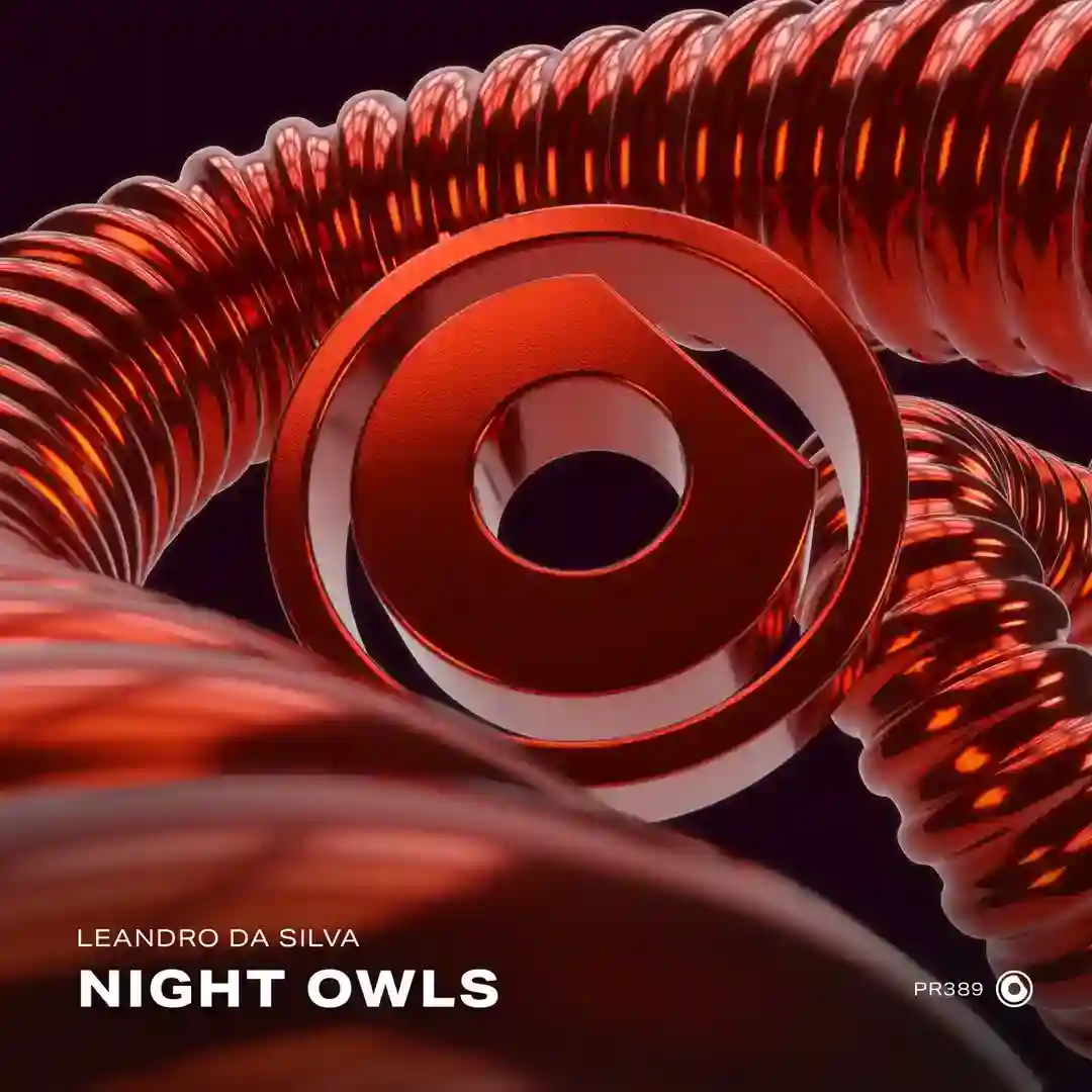 Night Owls (Original Mix) cover
