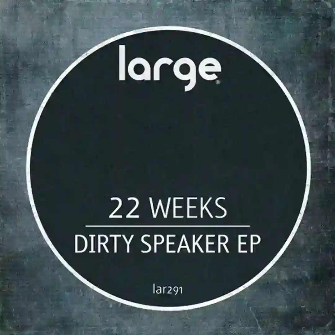 Dirty Speaker (Original Mix) cover