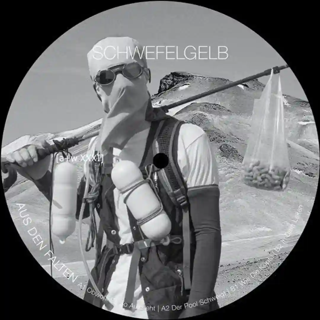 Aus den Falten cover