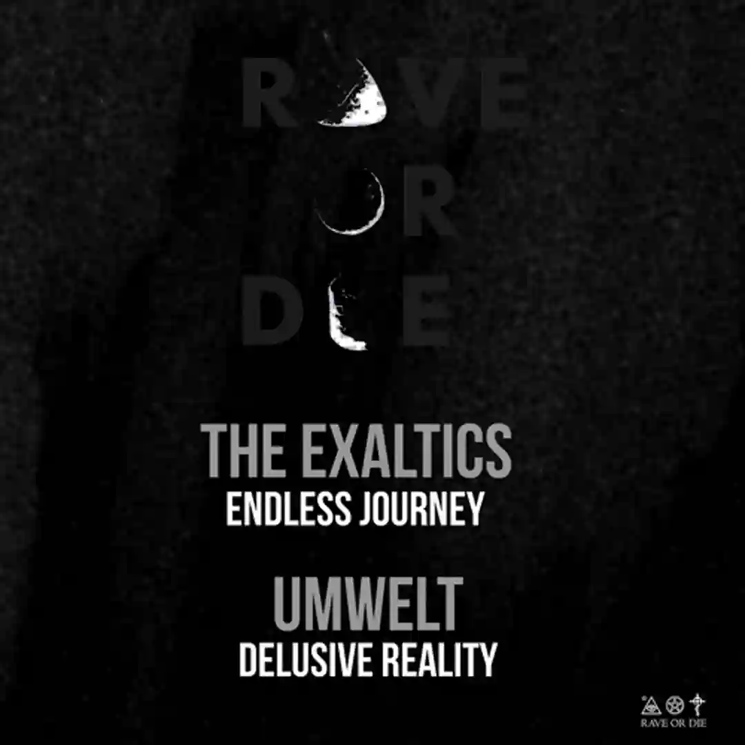 Delusive Reality (Original Mix) cover