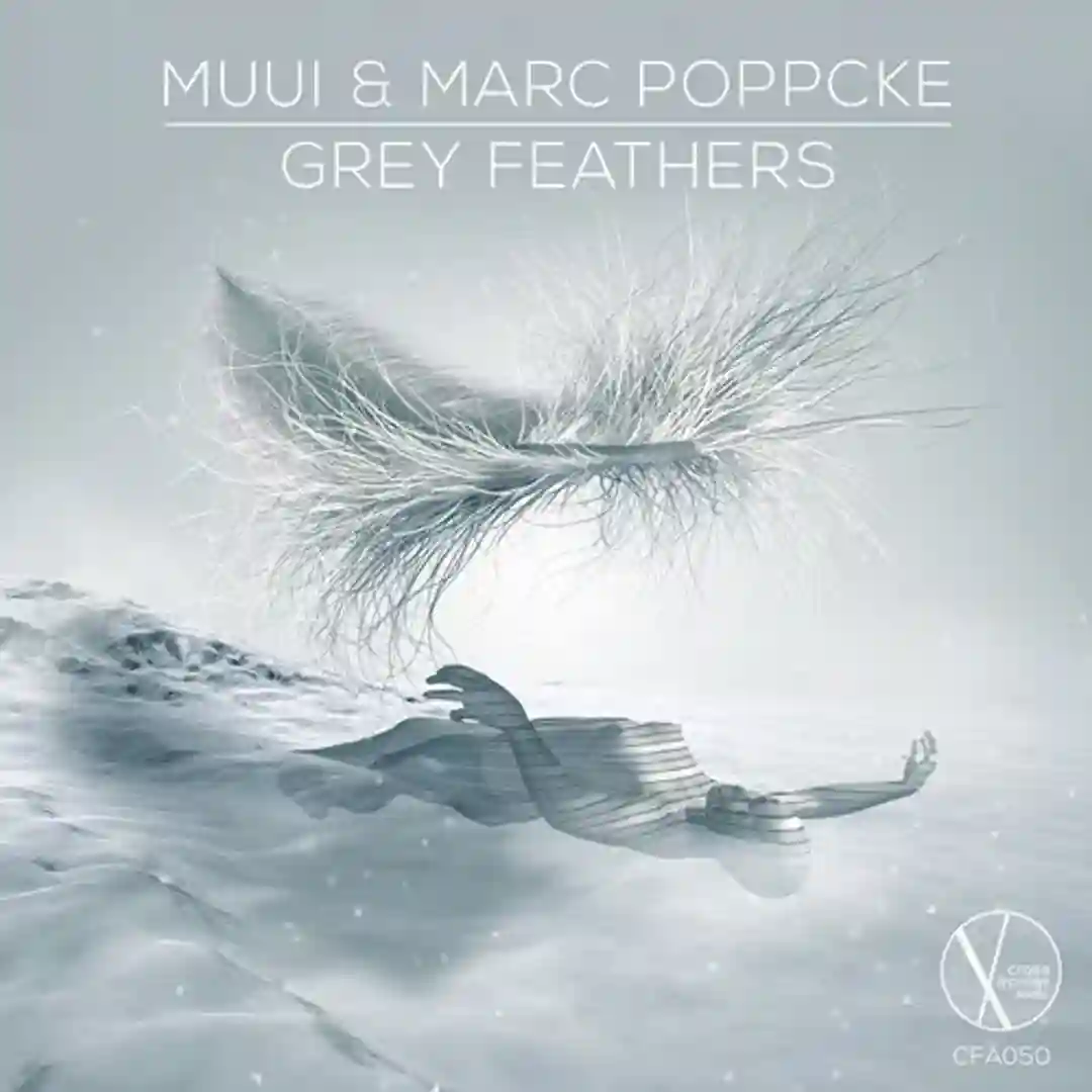 Grey Feathers cover