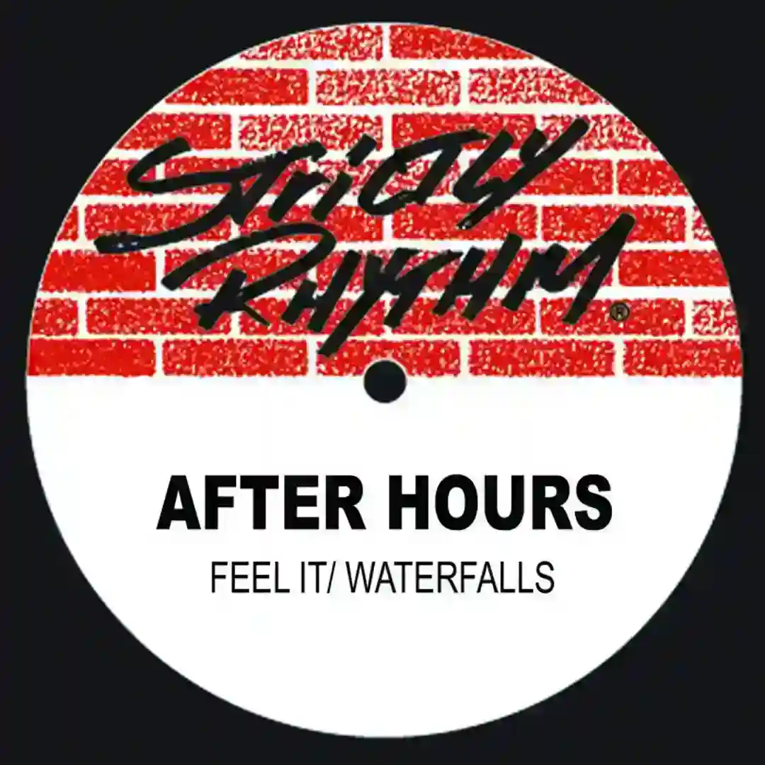 Feel It (The Salso Mix) cover