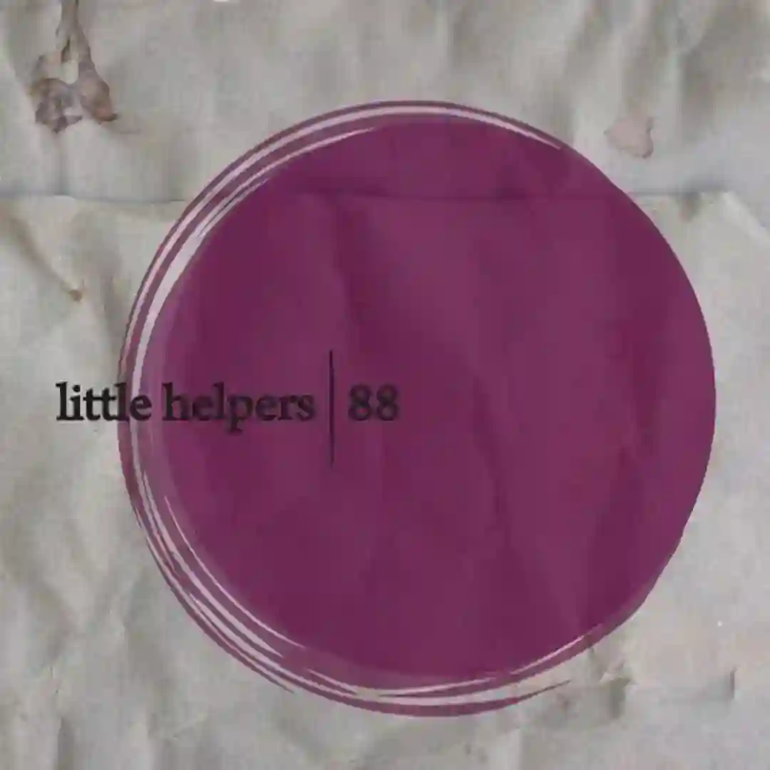 Little Helper 88-3 (Original Mix) cover