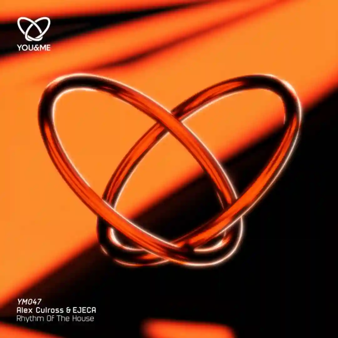 Rhythm Of The House (Original Mix) cover