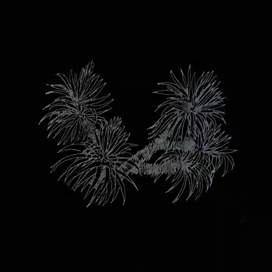 Bloom cover