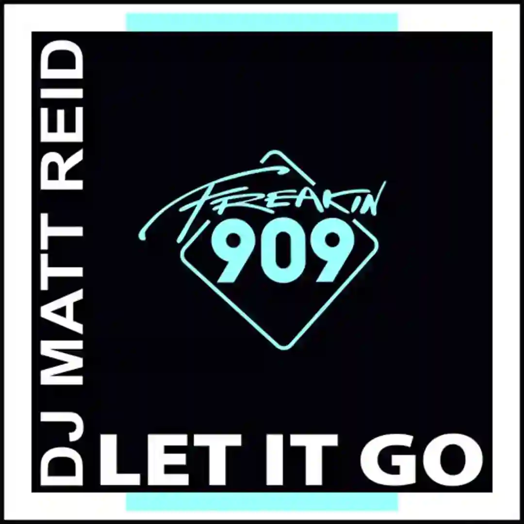 Let It Go cover