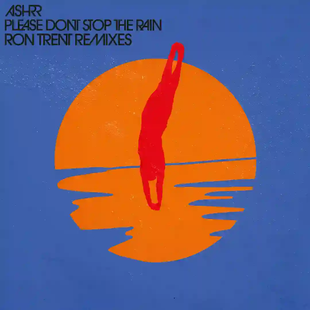 Please Don't Stop The Rain (Ron Trent Dub) cover