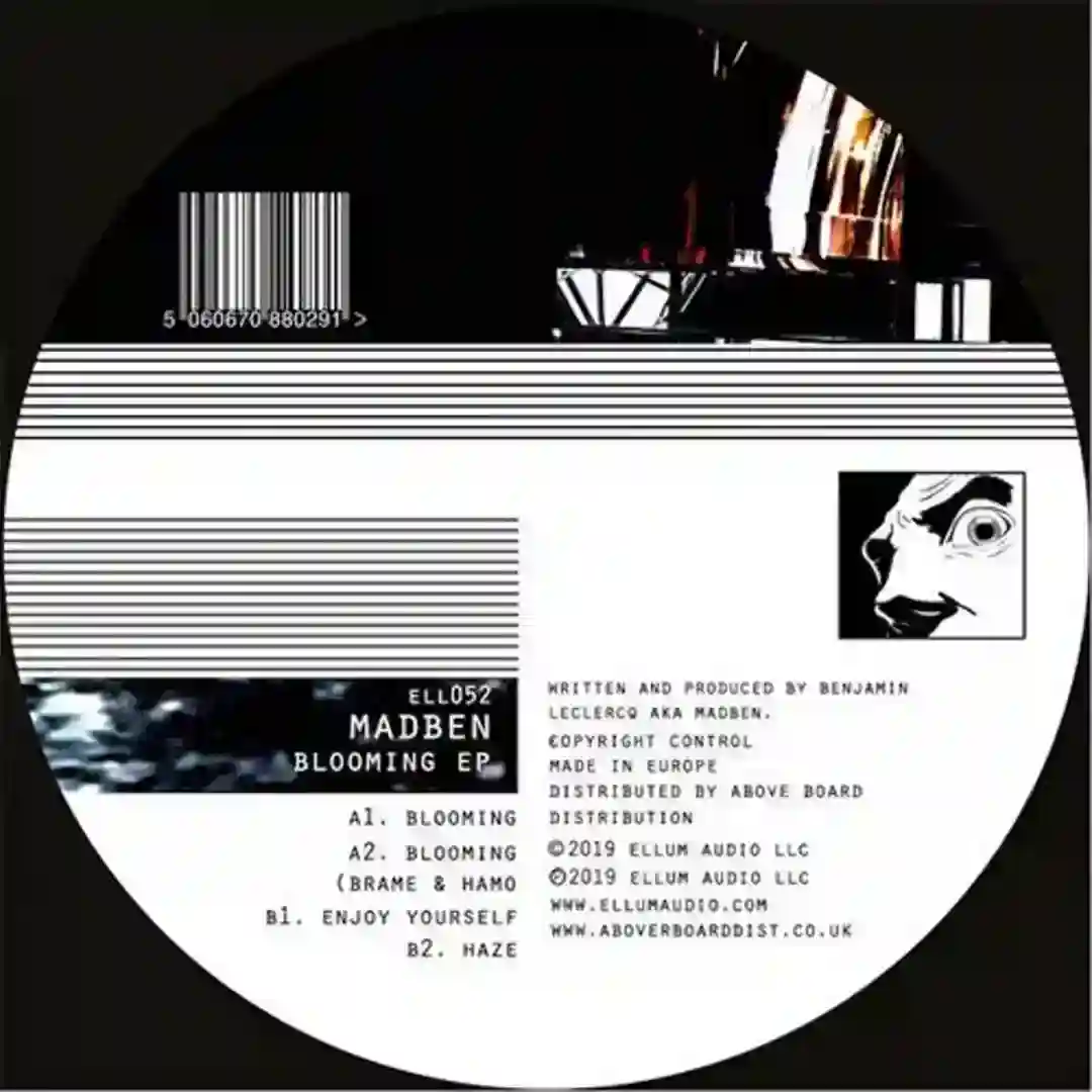 Blooming (Brame & Hamo Remix) cover