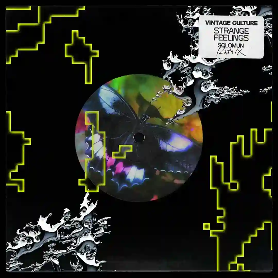 Strange Feelings (Solomun Remix) cover
