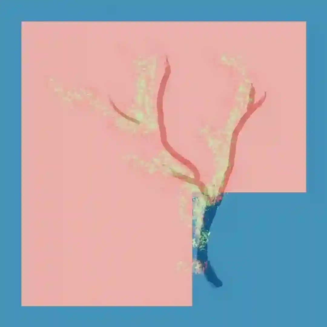 Fire (Dirty Doering Remix) cover