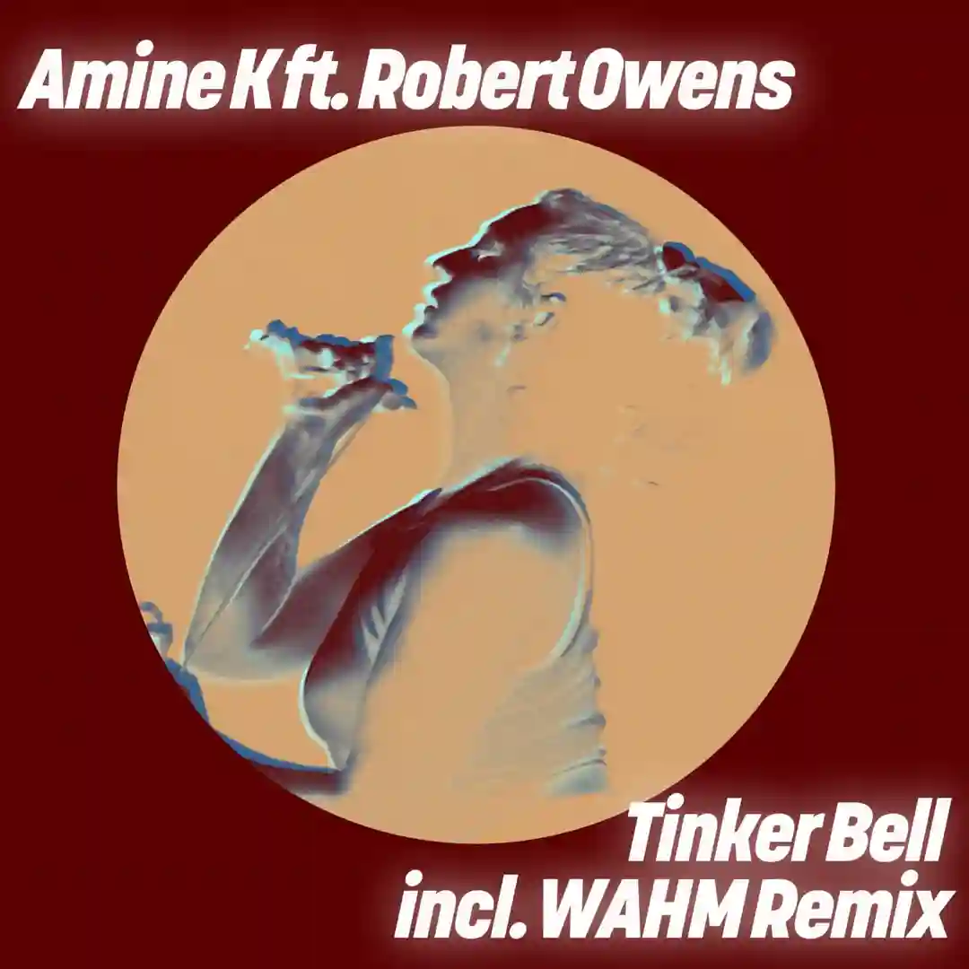 Tinker Bell cover