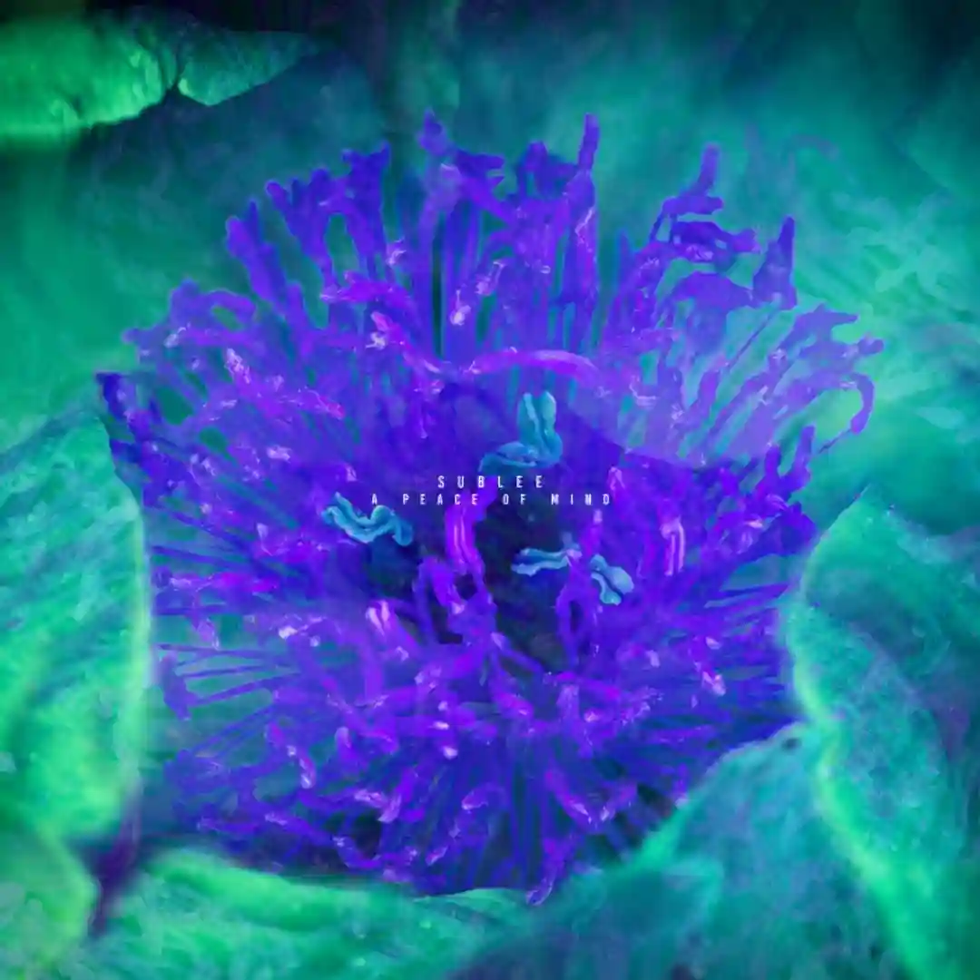 Cold Inside (Original Mix) cover