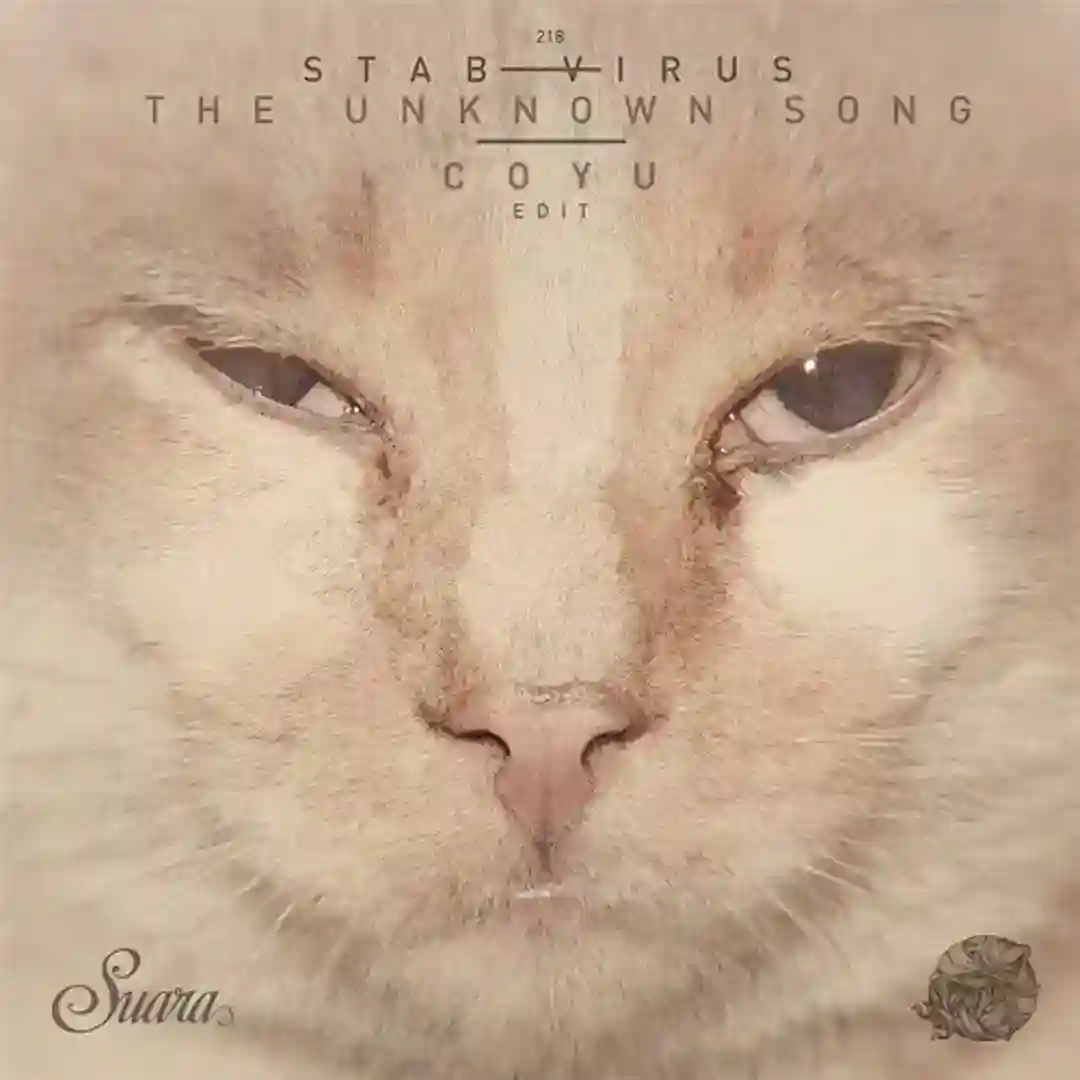 The Unknown Song cover