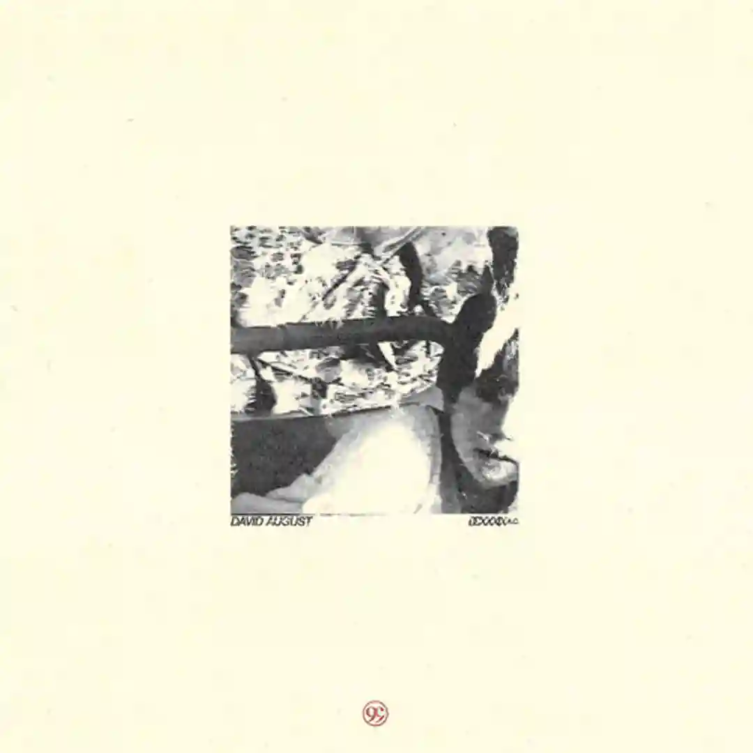 Y.H.W.Y.S. cover