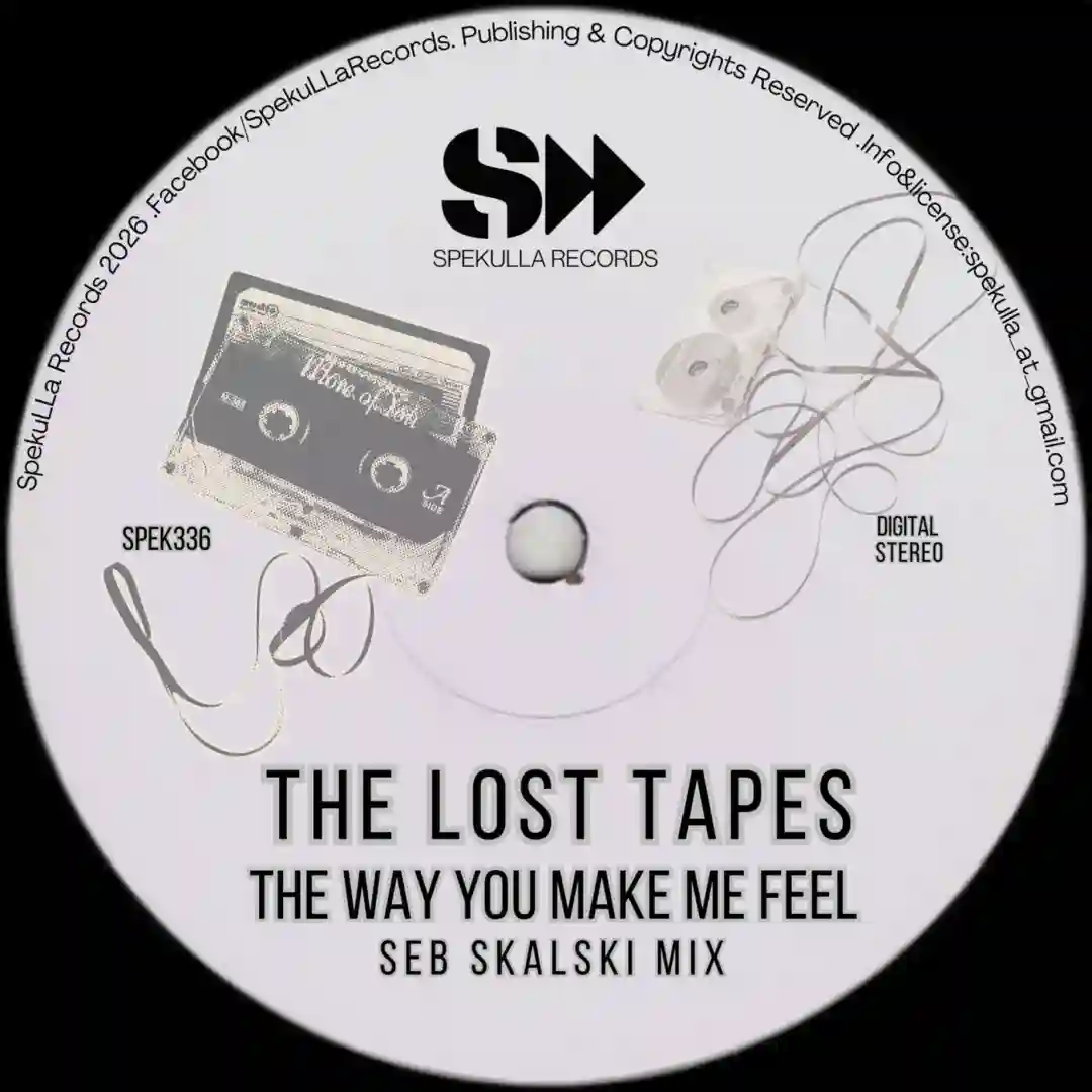 The Way You Make Me Feel (Original Mix) cover