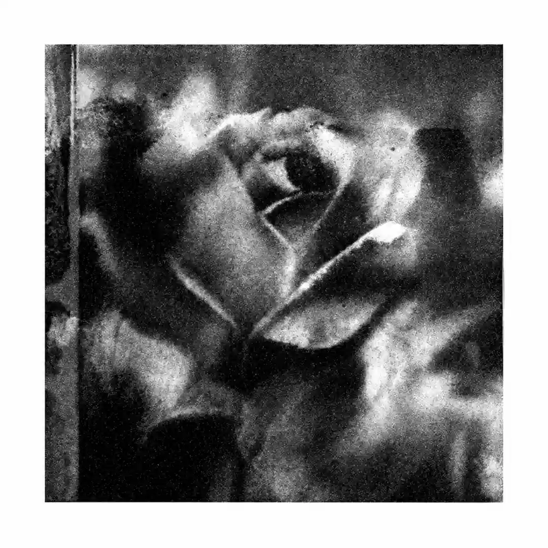 Anther (Original Mix) cover