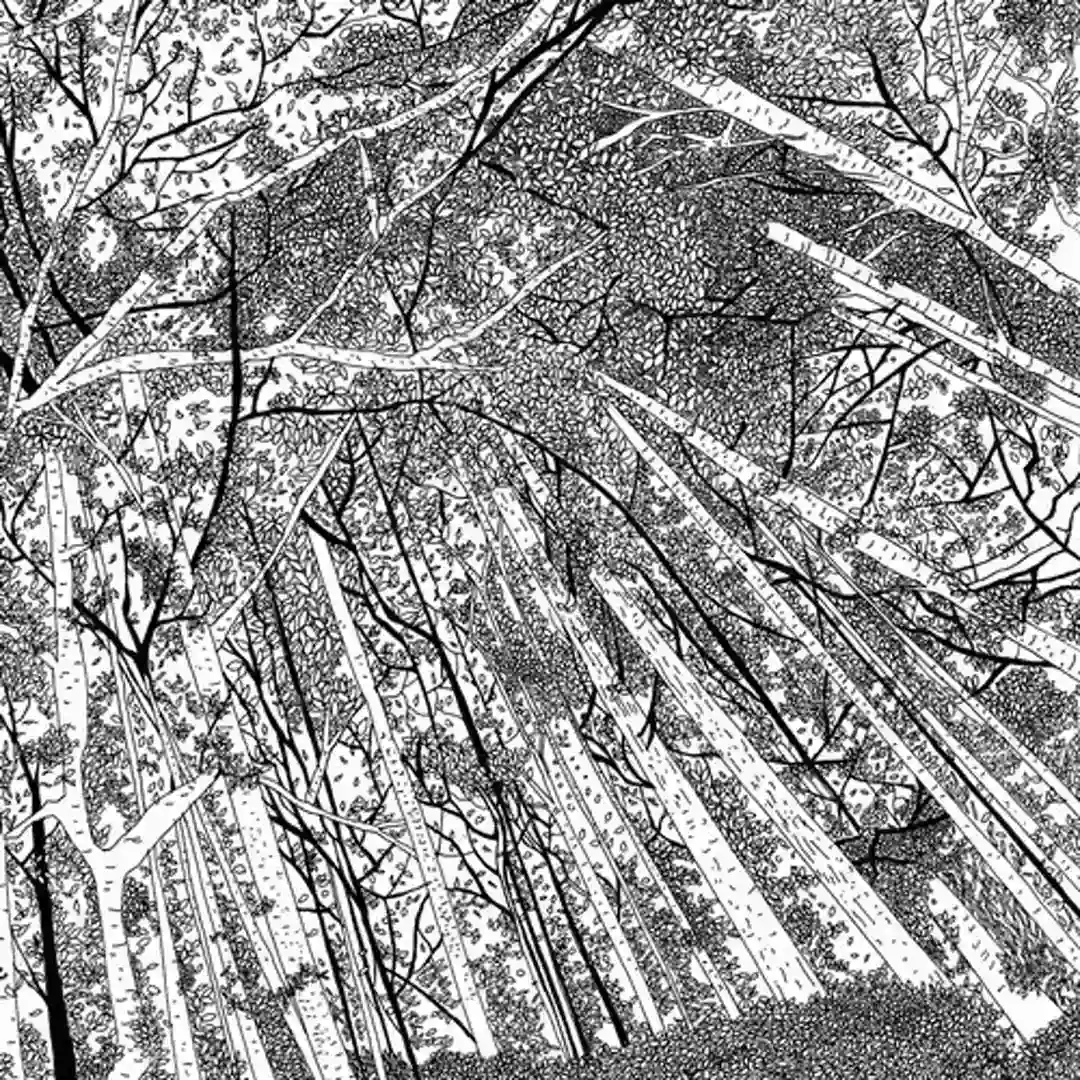 Just Imagine (Part I & II) cover