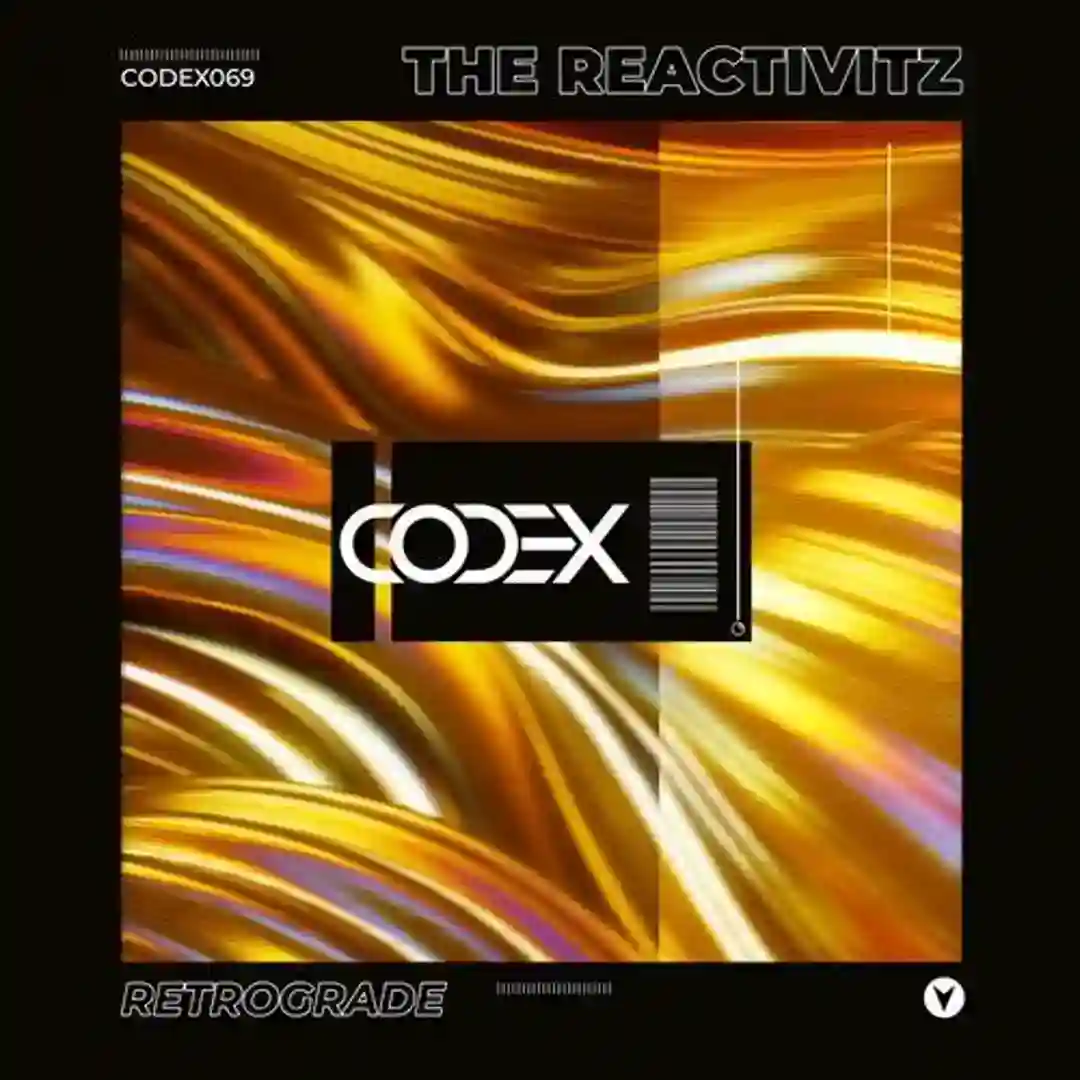 Panic in the Room (Original Mix) cover