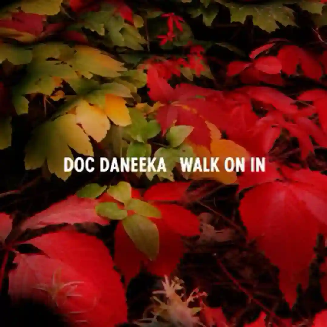 Walk On In cover