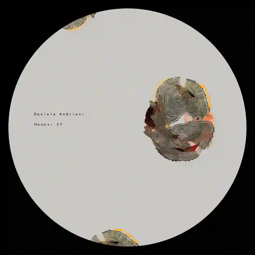 Member (Original Mix) cover