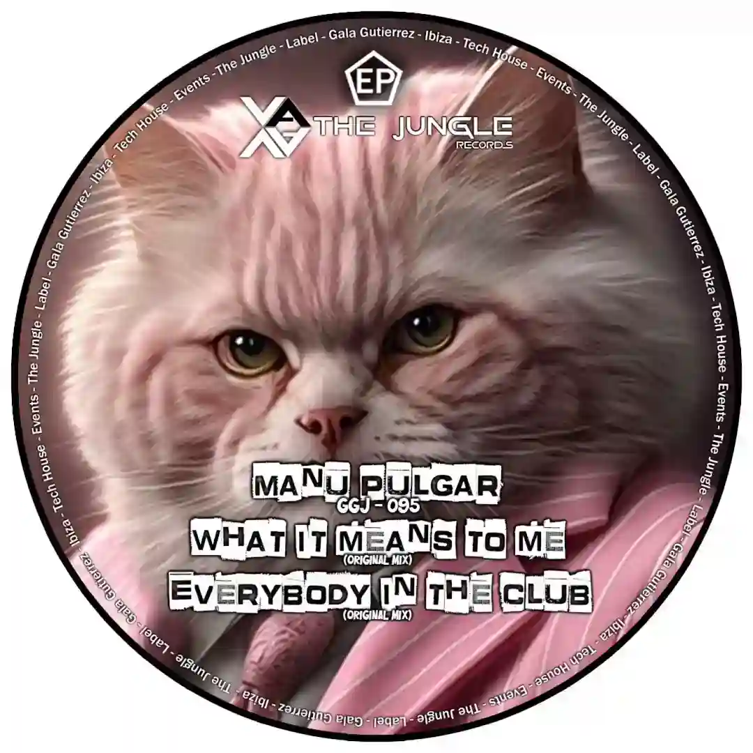 Everybody In The Club (Original Mix) cover