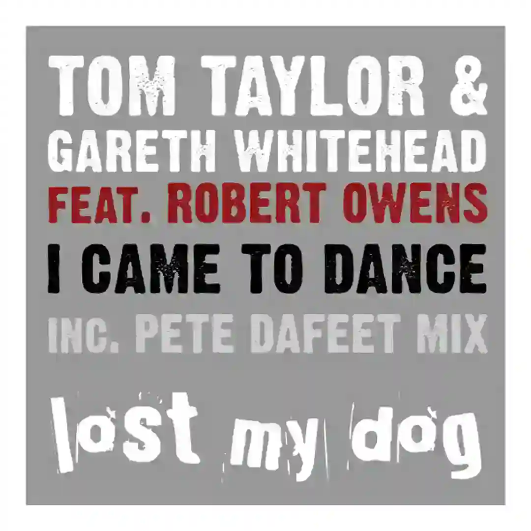 I Came to Dance Feat Robert Owens cover