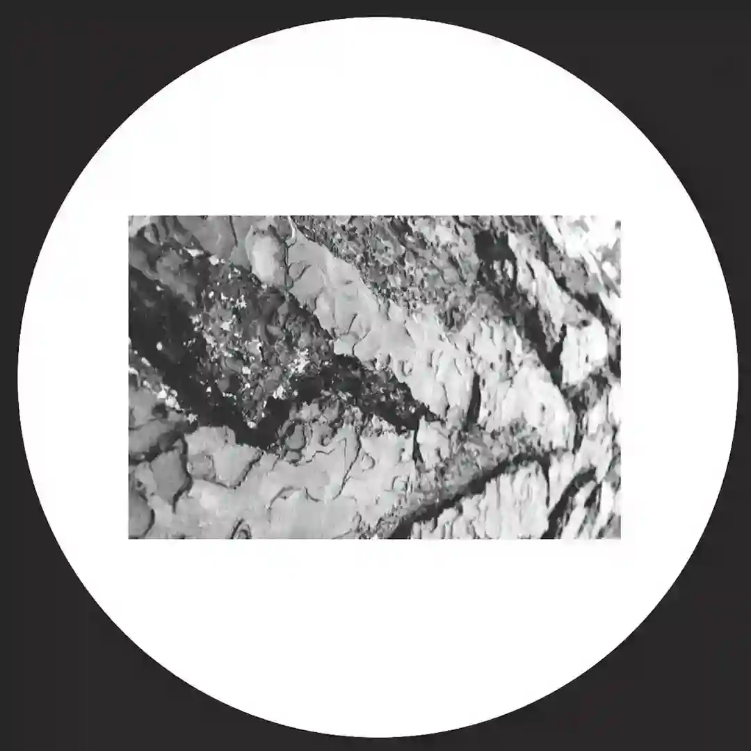Elliot Project 006 cover
