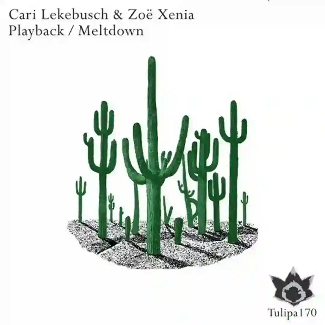 Playback (Edit One) (Original Mix) cover