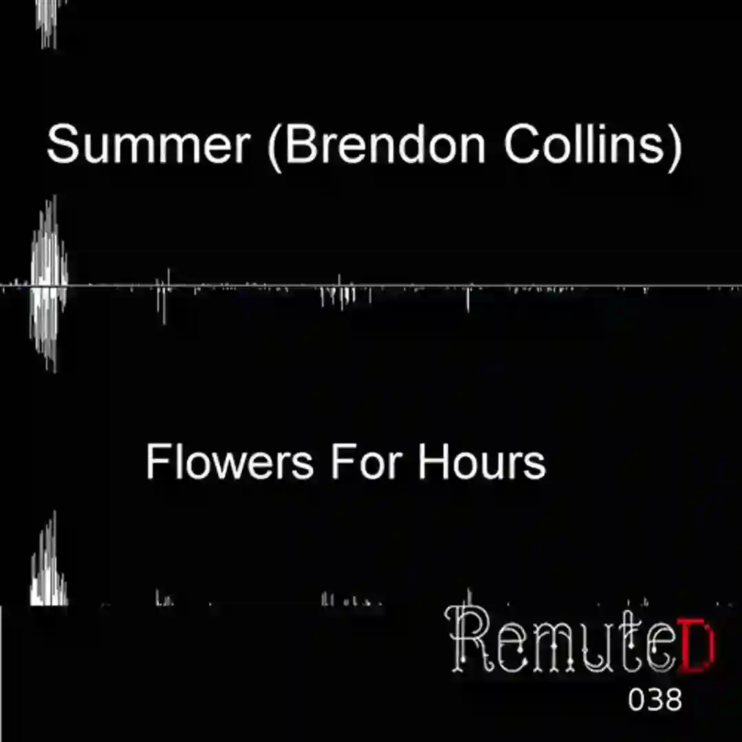 Flowers For Hours cover