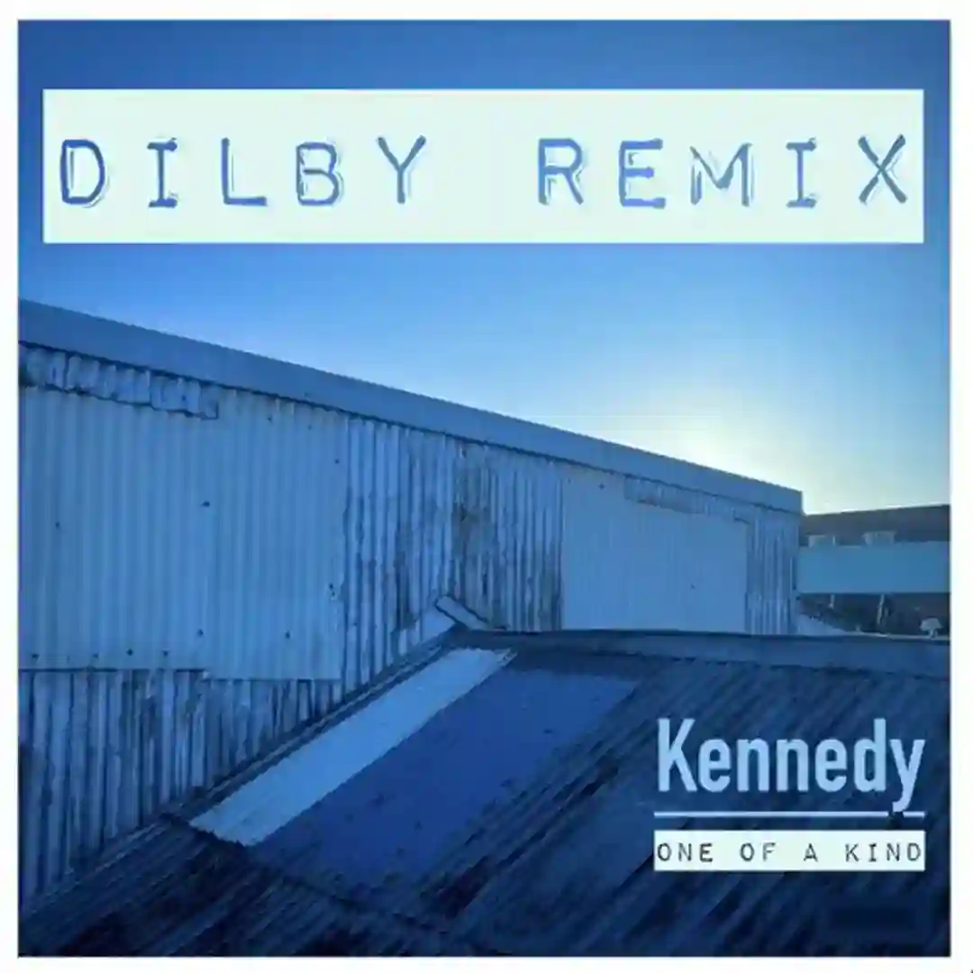 One Of A Kind (Dilby Remix) cover