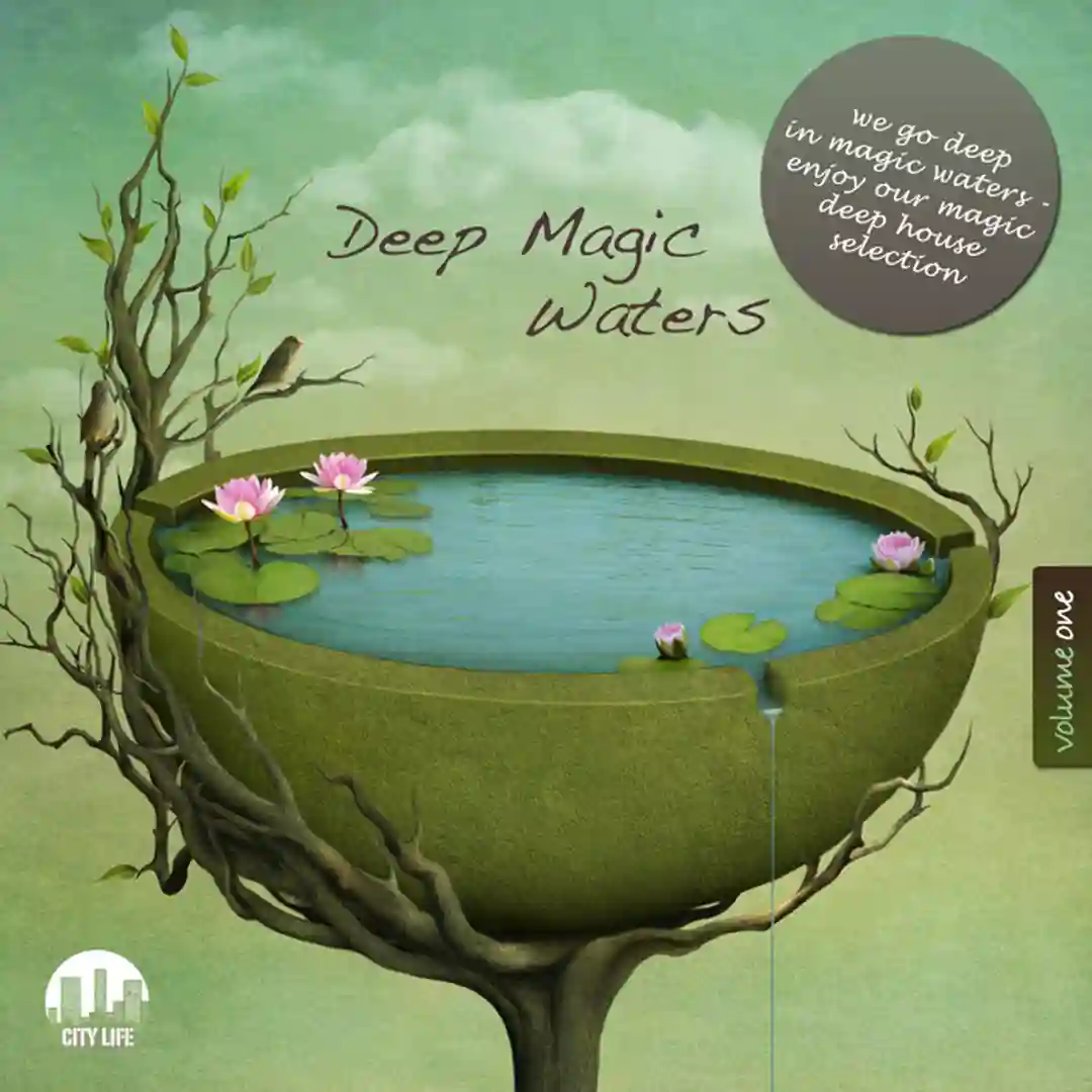 Indigo cover