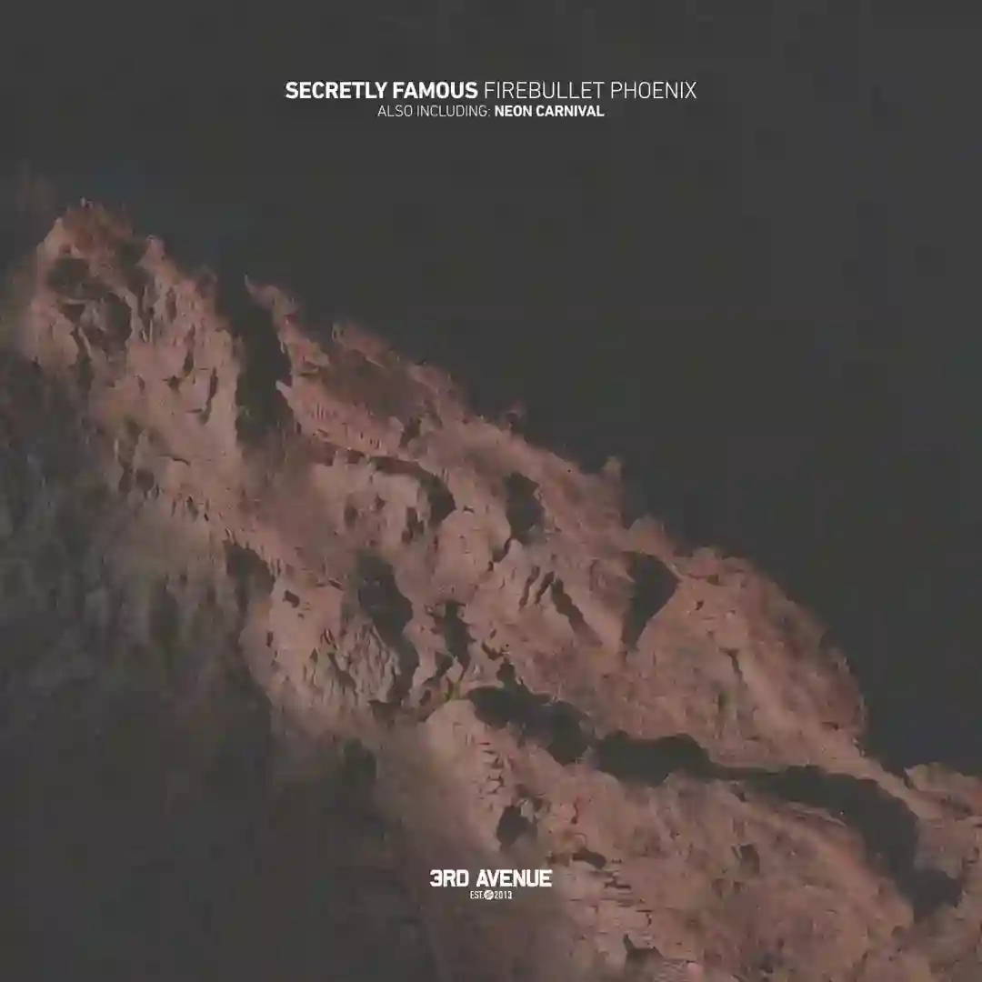Neon Carnival (Original Mix) cover