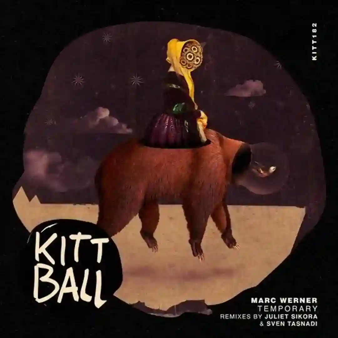 Temporary (Sven Tasnadi Remix) cover