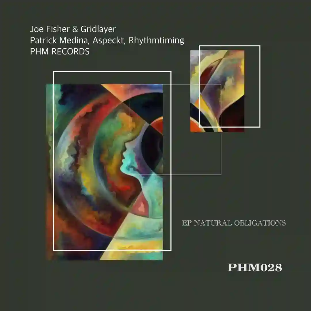 Natural Obligations (Rhythmtiming Remix) cover