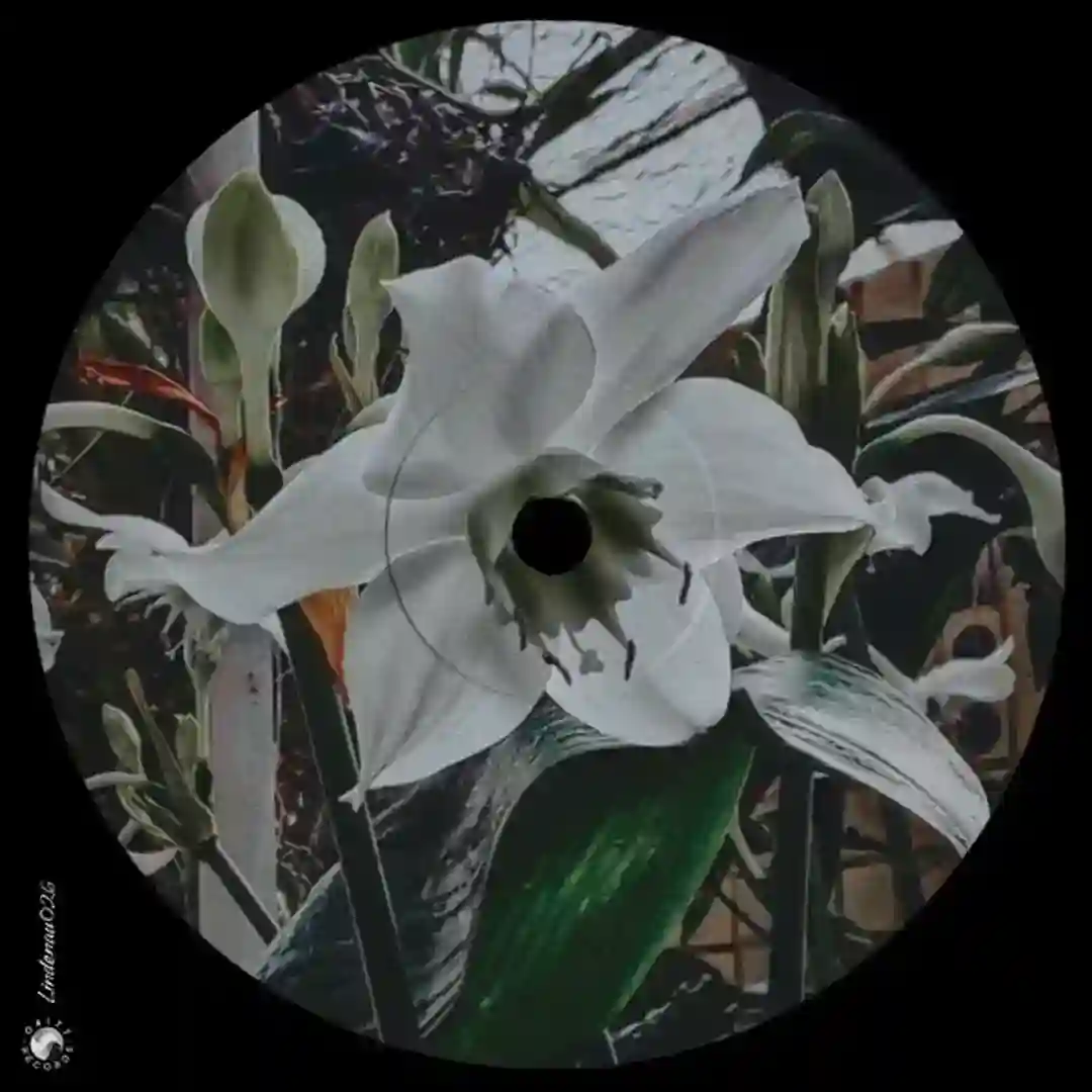 Time to Grow (Original Mix) cover