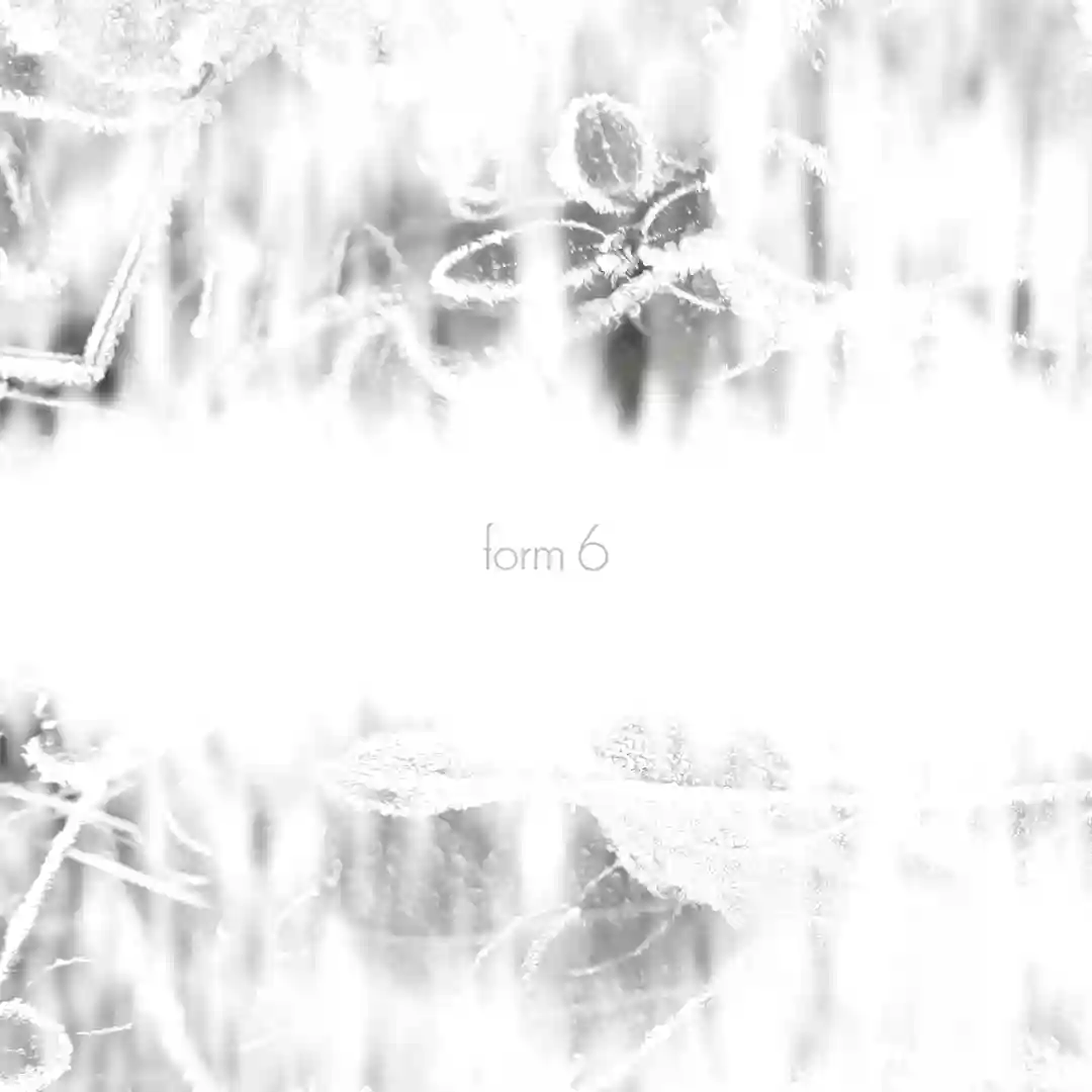 Form 6 cover