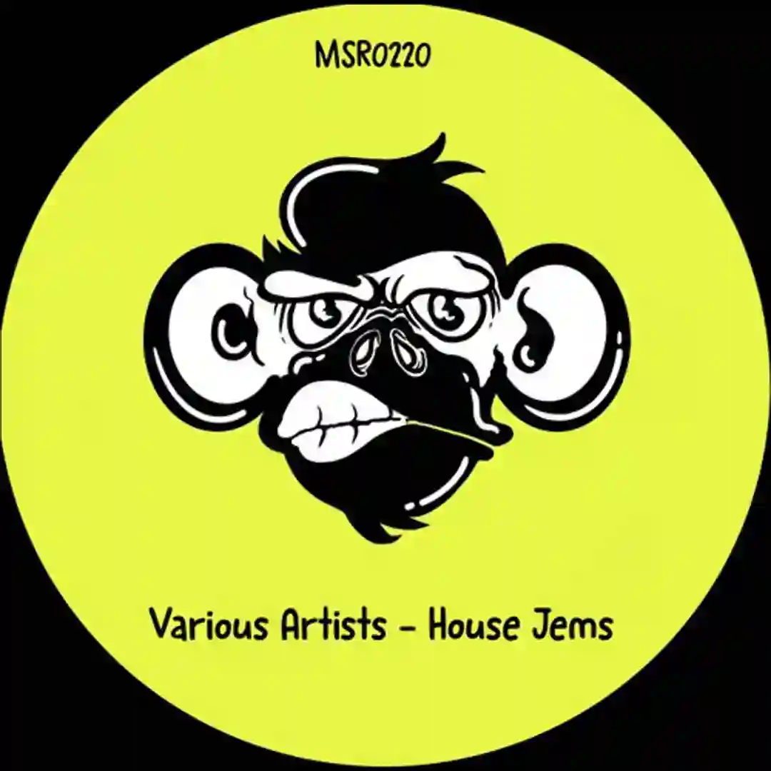 Got The Bod (Original Mix) cover