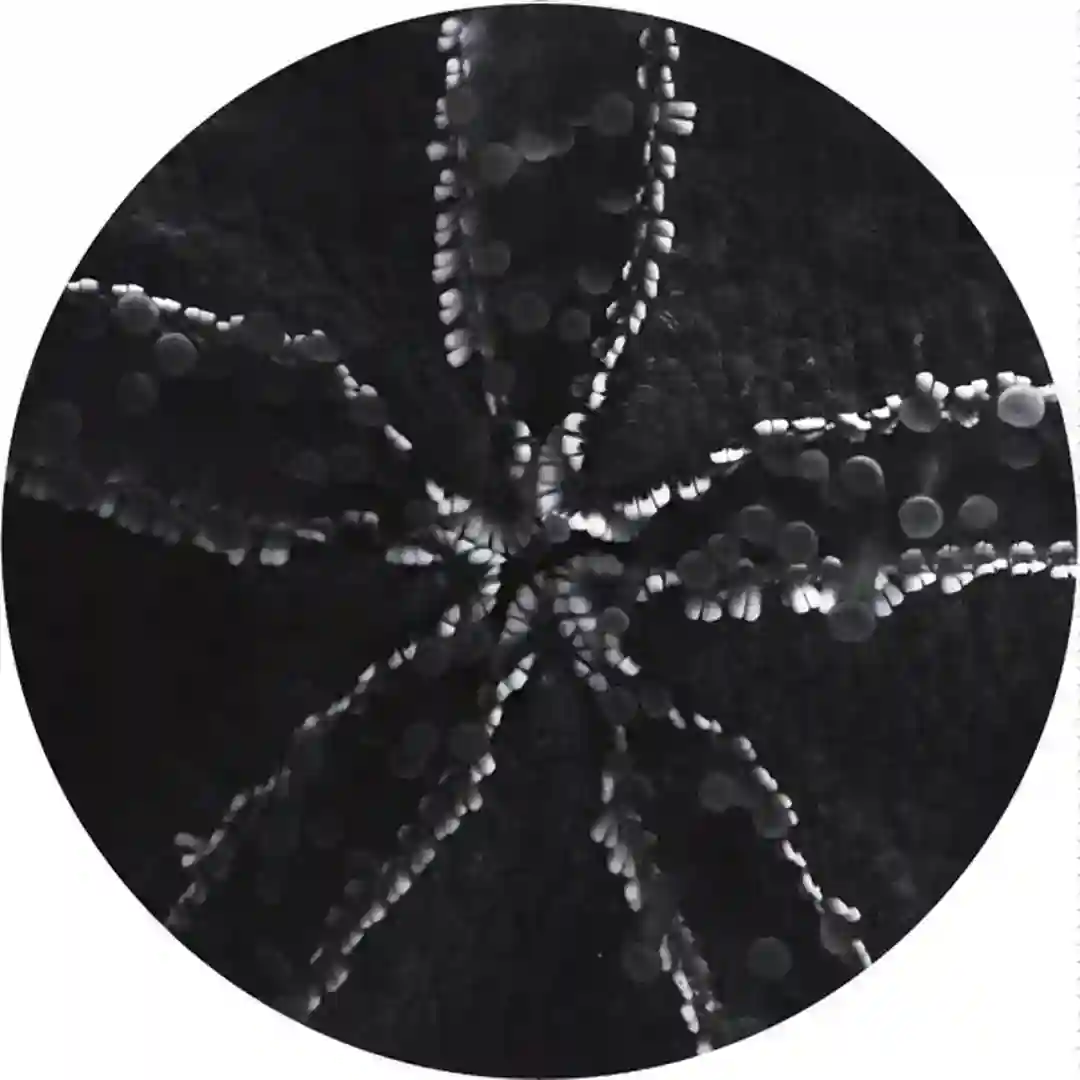 303 Regiment cover