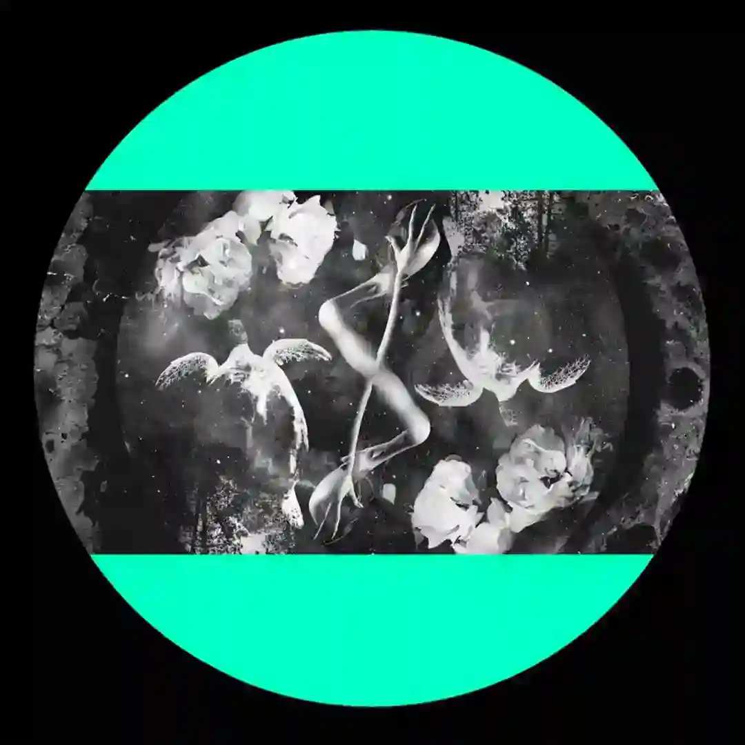 Desfragmentador Temporal cover
